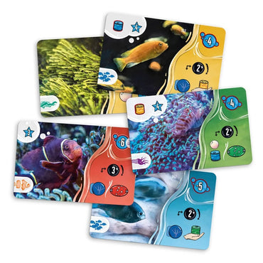 Aquaria Board Game, English Edition