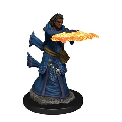 Figuras pintadas de iconos de los reinos de Dungeons & Dragons