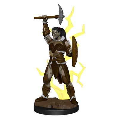 Figuras pintadas de iconos de los reinos de Dungeons & Dragons