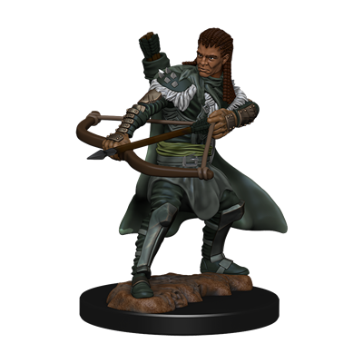 Figuras pintadas de iconos de los reinos de Dungeons & Dragons