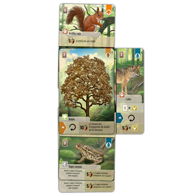 forest shuffle es