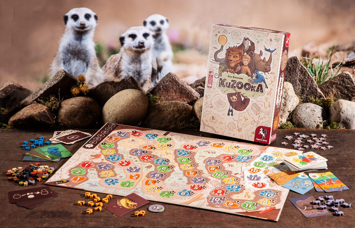 KuZOOkA, English Edition