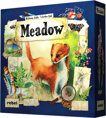 Meadow, English Edition