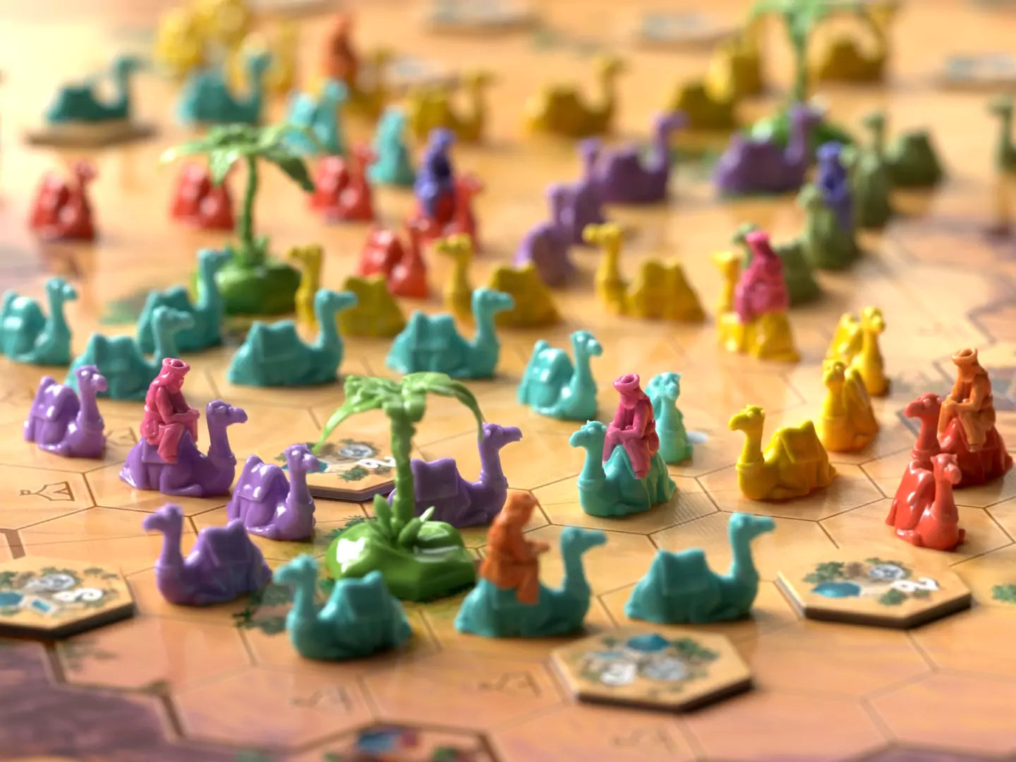 Through the Desert, English Edition