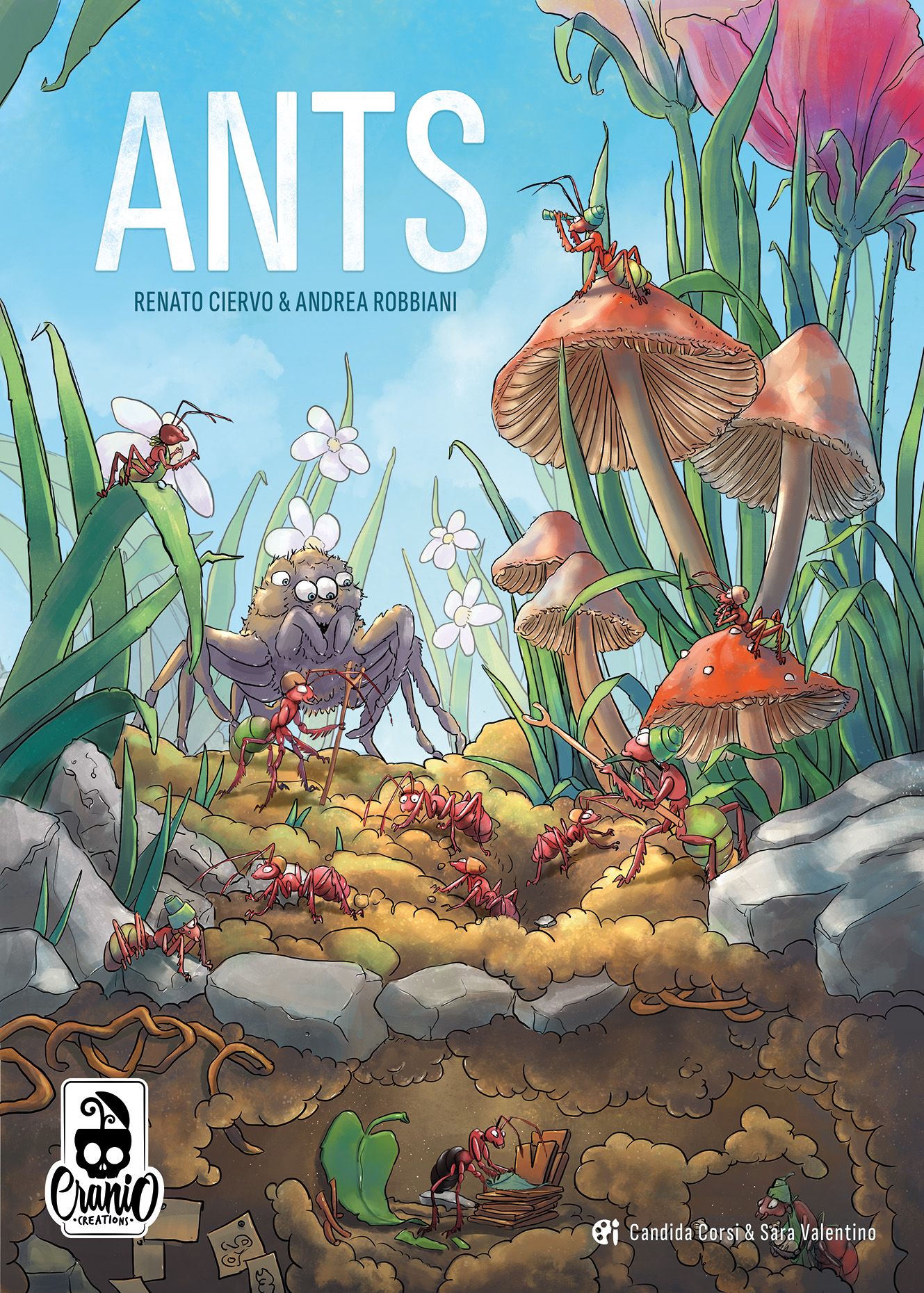 Ants English Board Game