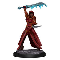 Figuras pintadas de iconos de los reinos de Dungeons &amp; Dragons