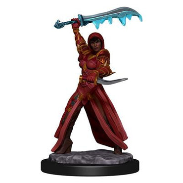 Figuras pintadas de iconos de los reinos de Dungeons &amp; Dragons