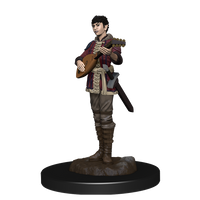 Figuras pintadas de iconos de los reinos de Dungeons &amp; Dragons
