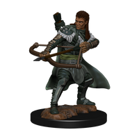 Figuras pintadas de iconos de los reinos de Dungeons &amp; Dragons